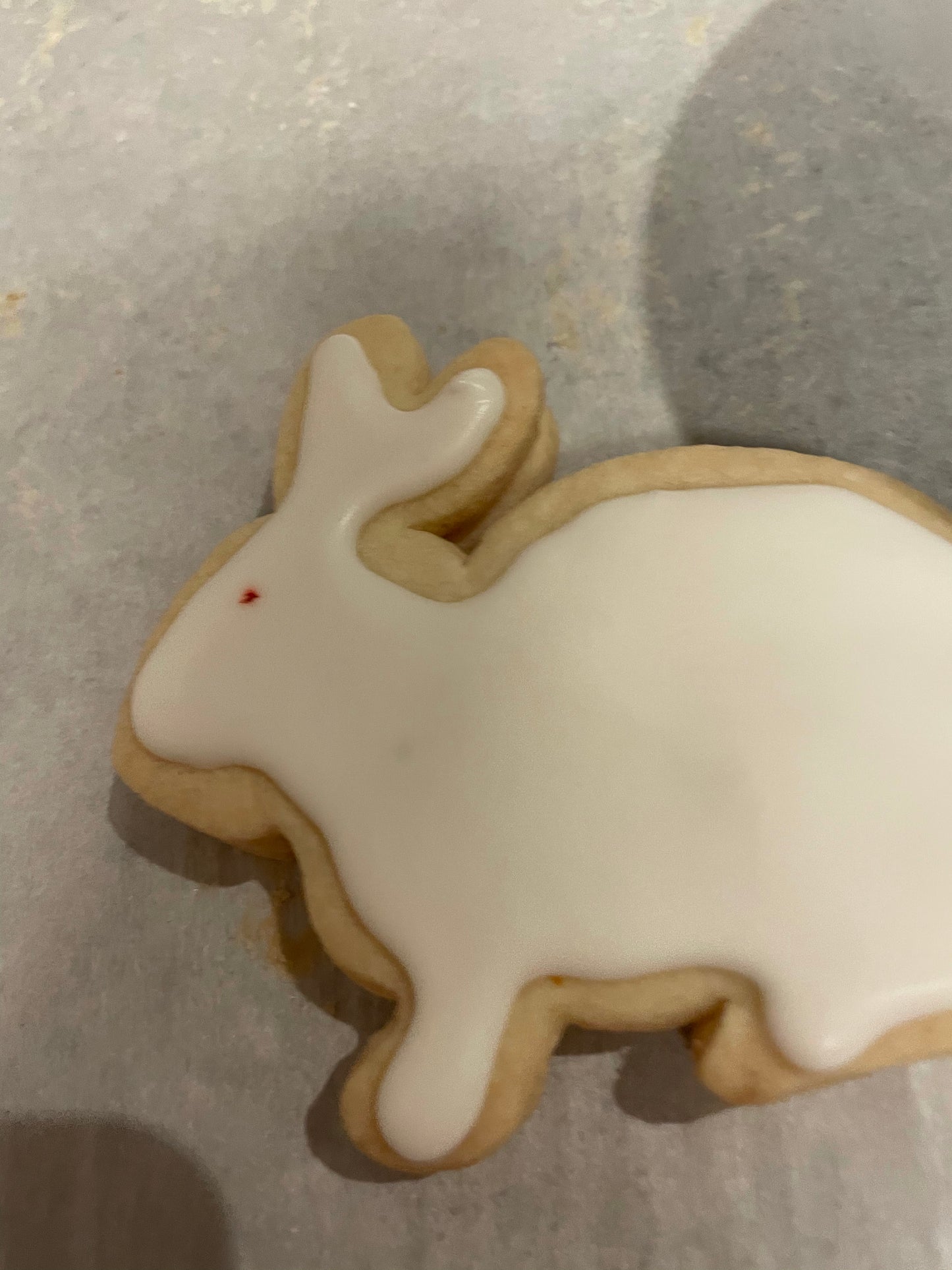 Easter - GF Half Dozen Rabbit Empire Biscuits